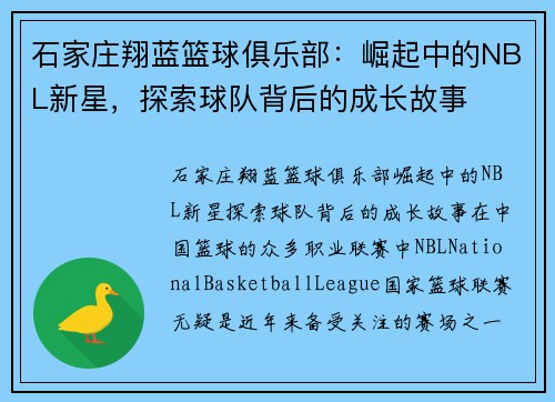 石家庄翔蓝篮球俱乐部：崛起中的NBL新星，探索球队背后的成长故事